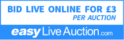 Easy Live Auction Bidding